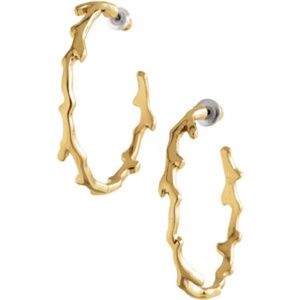 COPY - Carobella Hoops -Gold Stella & Dot